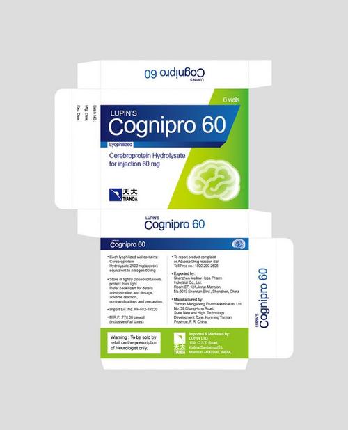 廣東有實力的食品包裝供應(yīng)商