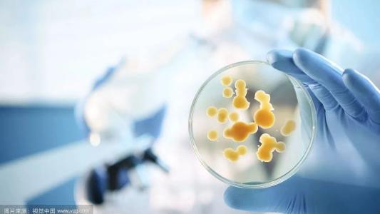 南方品質(zhì)好的2-硝基苯胺主要供應(yīng)商