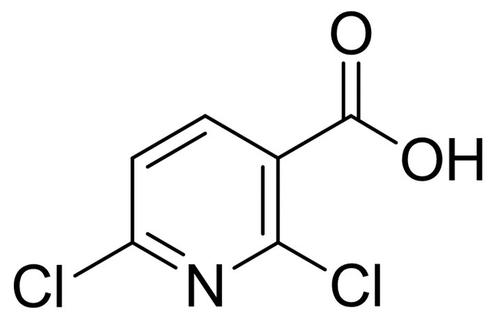 南方品質(zhì)好的2-硝基苯胺主要供應(yīng)商
