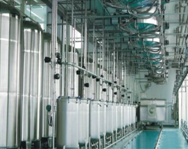 1612488340438119.jpg 400x400_5d647239ccf49.jpg