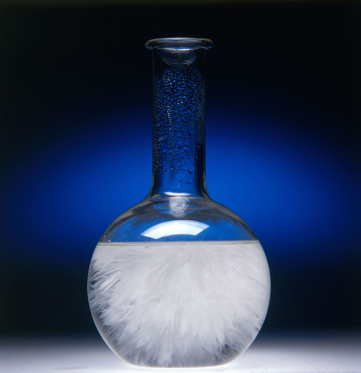 1624325214636205.jpg 9922720e0cf3d7ca667f108af81fbe096a63a944.jpg