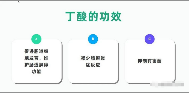 丁酸的功效 丁酸的功效