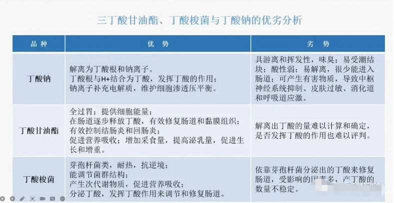 各類丁酸的優(yōu)劣勢 各類丁酸的優(yōu)劣勢