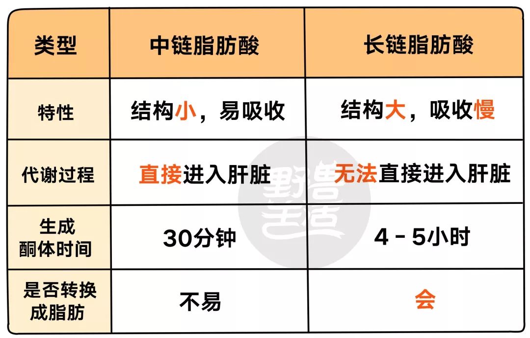 MCT是什么 MCT是什么