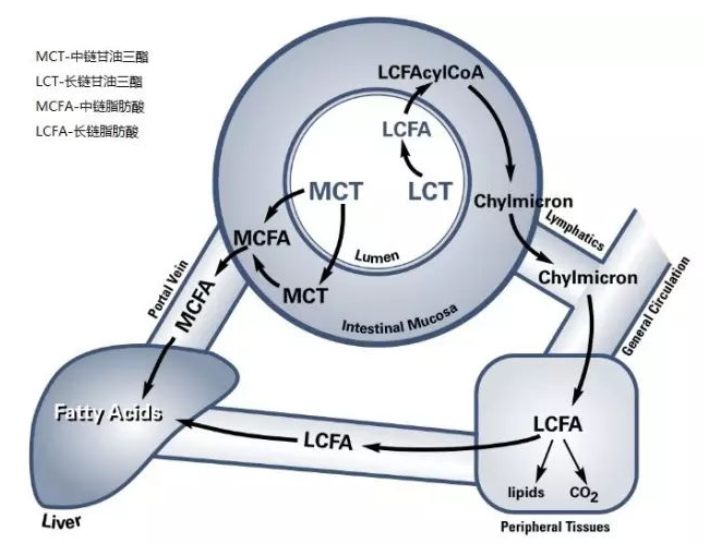 1663053432233076.png 微信截圖_20220913151623.png